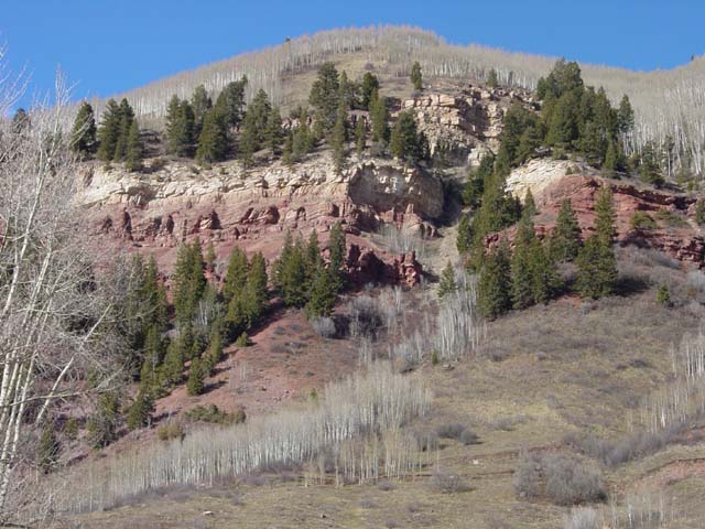 DSC04586